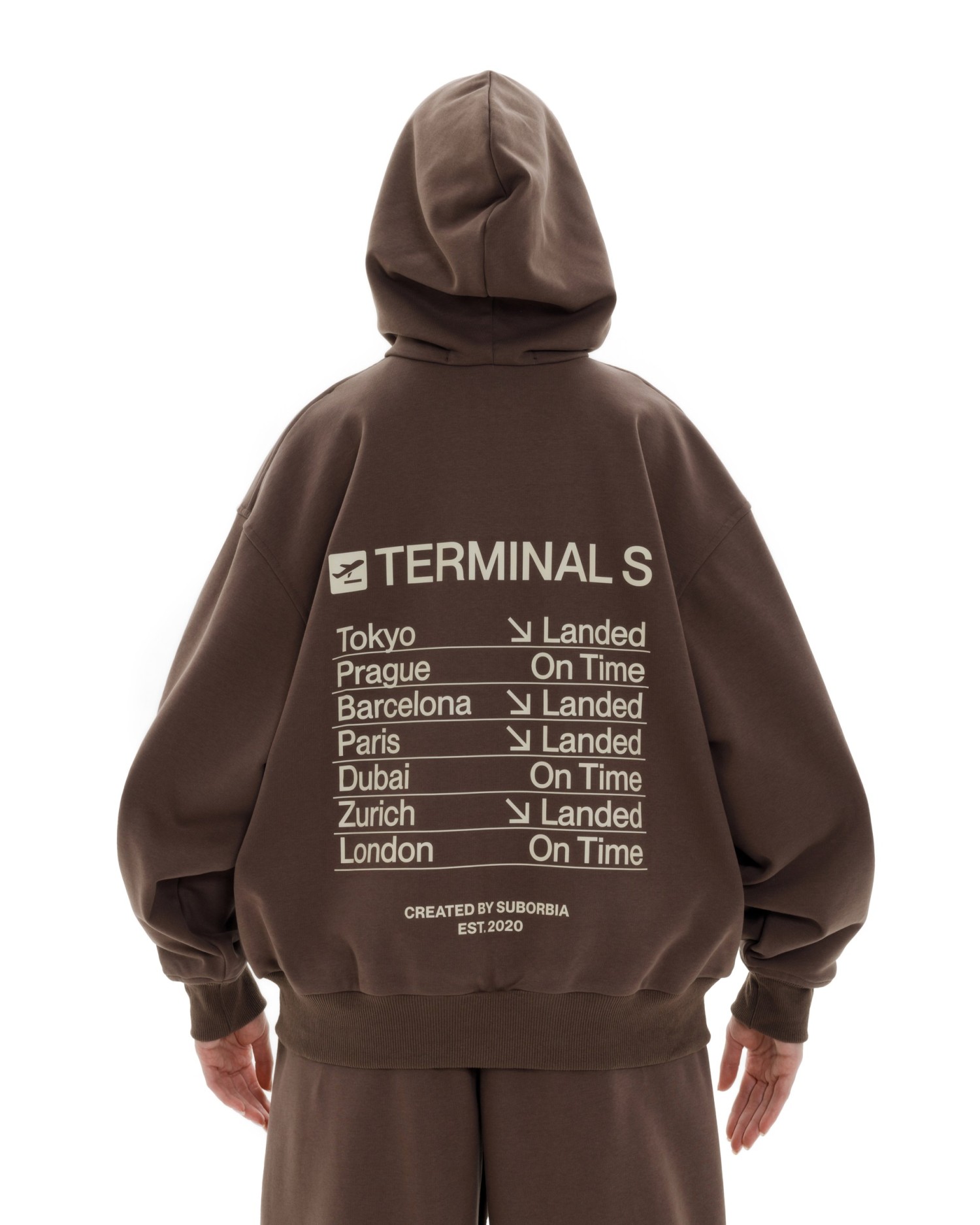 Джоггеры TERMINAL S `25 Brown