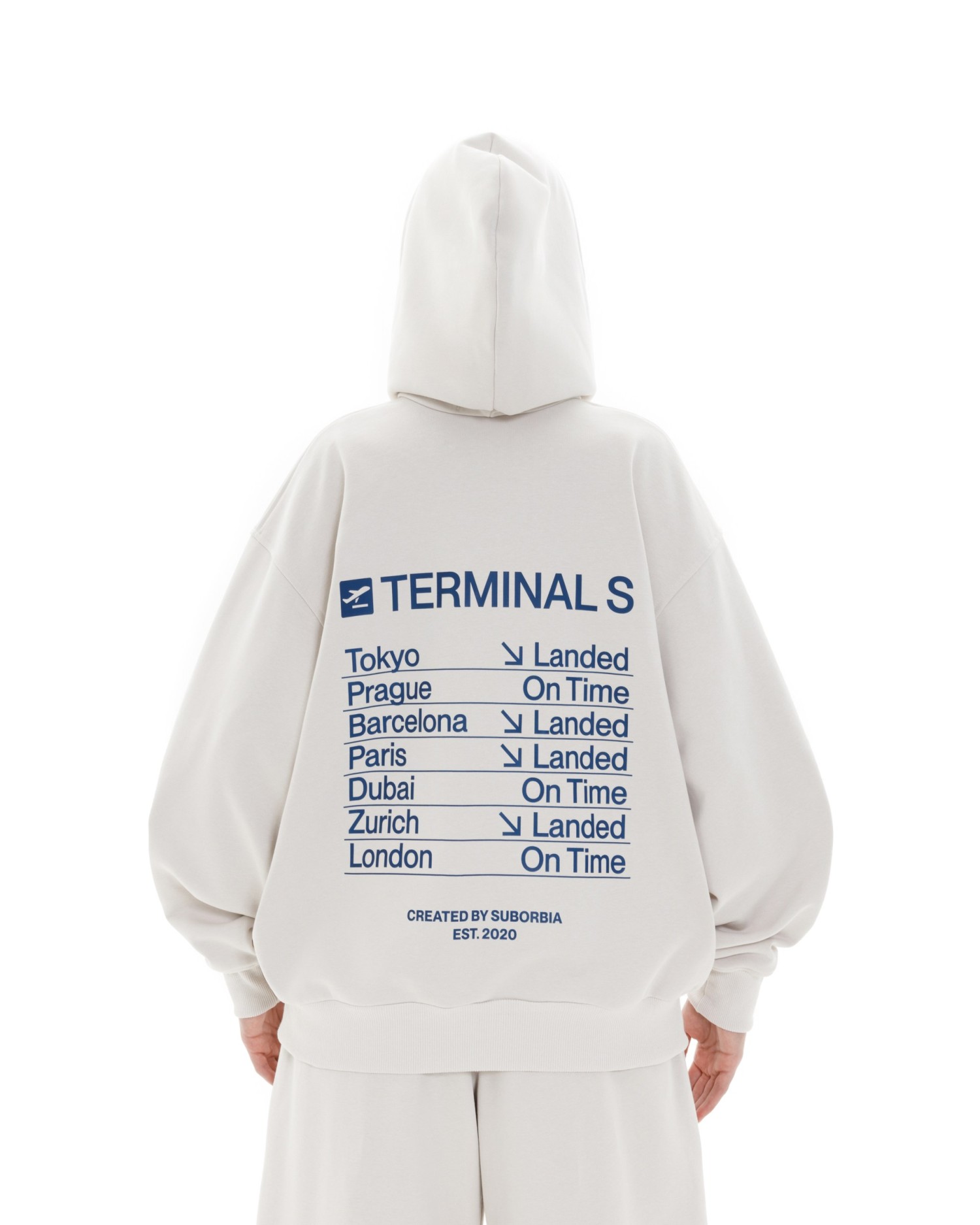 Худи ZIP TERMINAL S `25 White stone