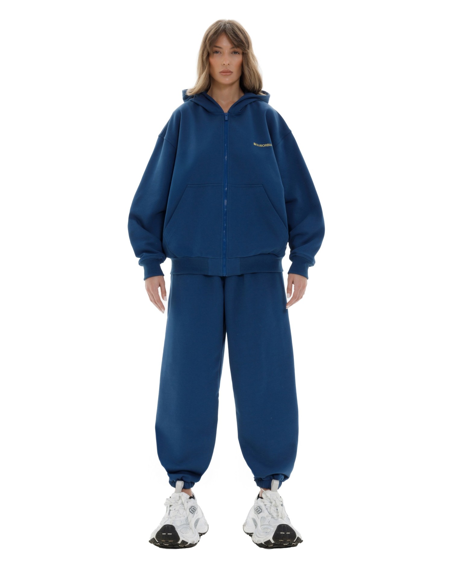 Джоггеры TERMINAL S `25 Blue