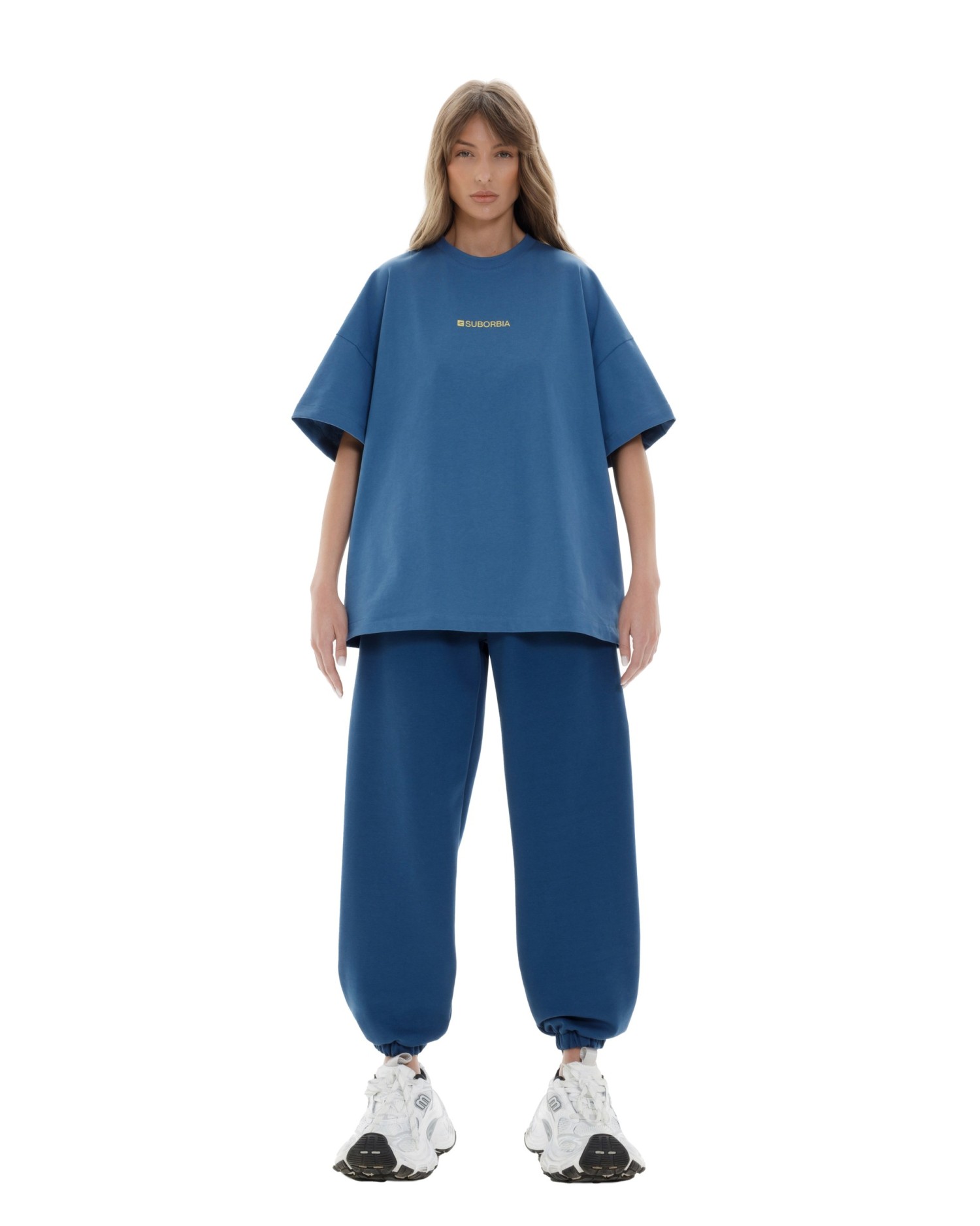 Джоггеры TERMINAL S `25 Blue