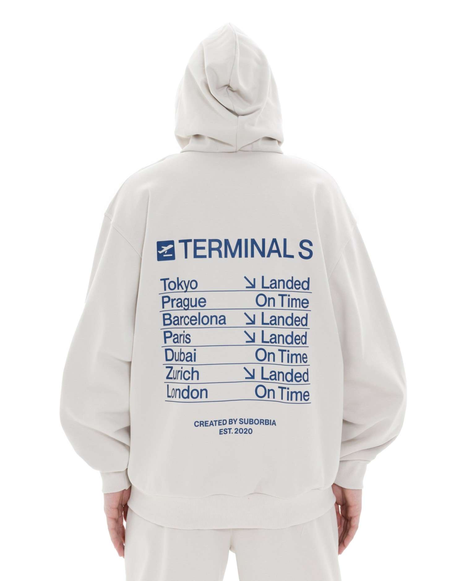 Худи ZIP TERMINAL S `25 MEN White stone