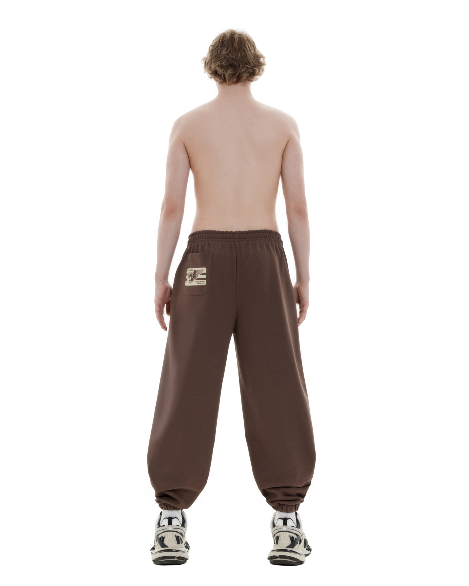 Джоггеры TERMINAL S `25 MEN Brown